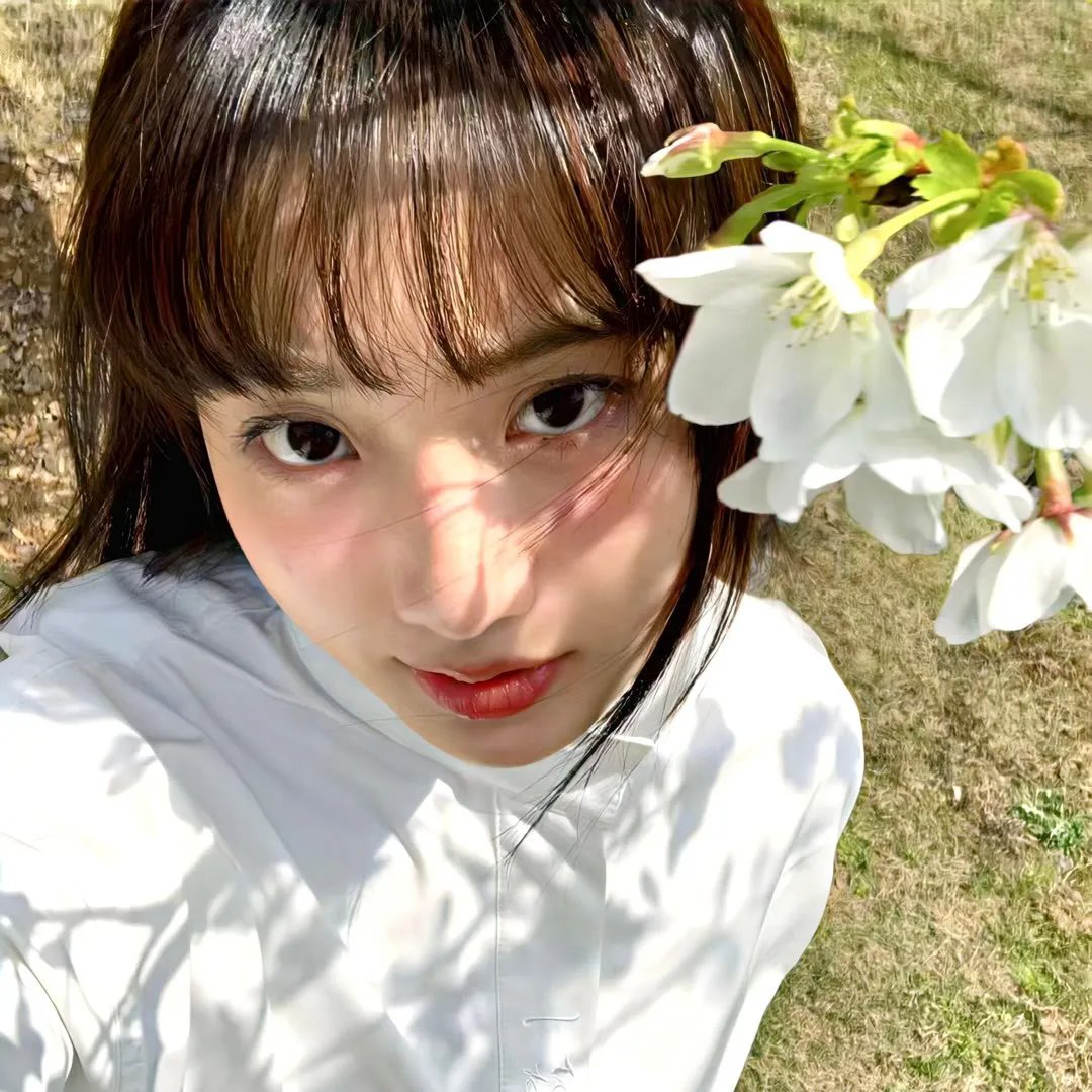 格里芬与菲尼克斯